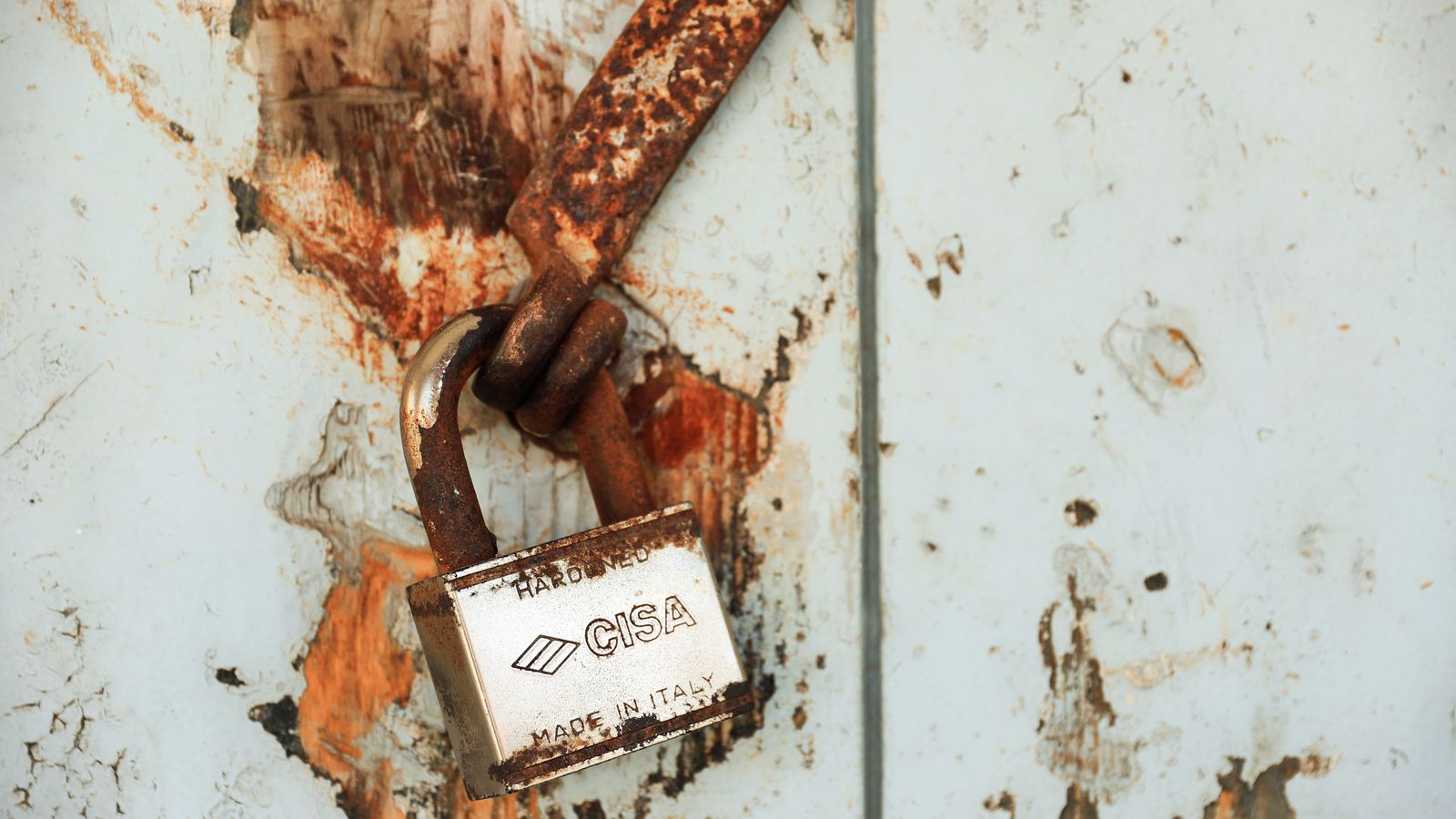 SPF, DKIM, and DMARC Explained for Non-Technical Business Owners
